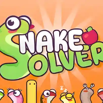 Snake Solver